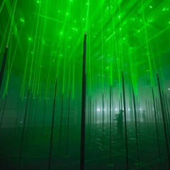 Holographic Forest