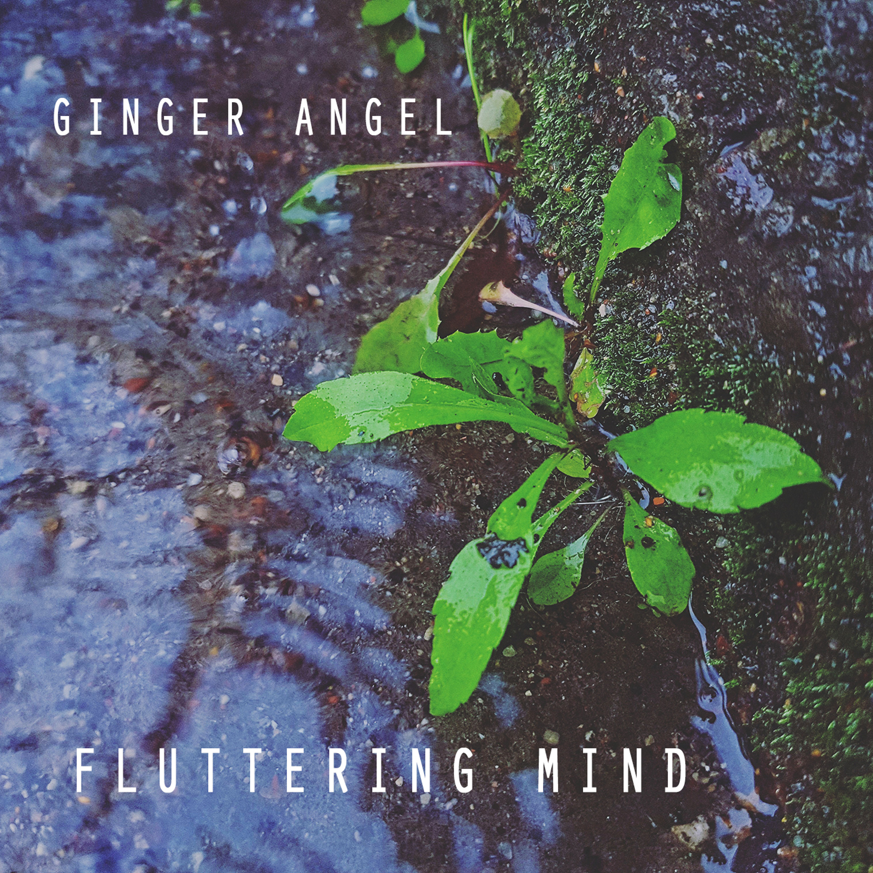 Ginger Angel - Fluttering Mind