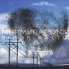 Murmurations Murmurations