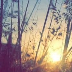 روجيه خوري آدمان