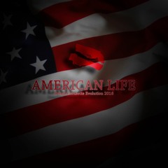 Madonna - American Life (Dens54 Musette Evolution 2016) 256kbps