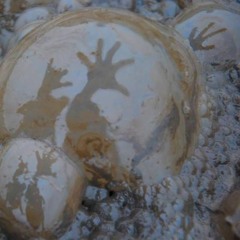 09 The Mudbubble Mysterious Music