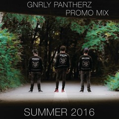 GNRLY Pantherz - Promo Mix (Summer 2016)