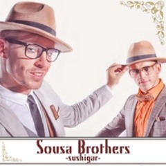 Sousa Brothers - Just Feel 2016 [DJPaparazzi-Rmx]