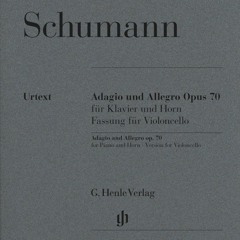 Adagio Und Allegro - R Schumann - Rodrigo Ortiz Serrano - Berlin 2016