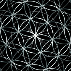 Perfluorocarbon (Edit)