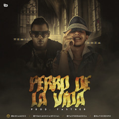 Yemil ft Boza - Perro De La Vida