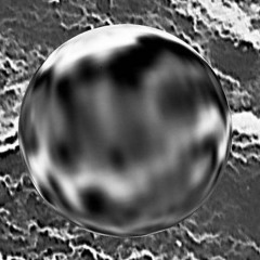 Mrs Hashimoto Teaches the Japanese Alphabet to a Cactus(Raudives "Mayakovski/Ortega /Herbert" Dub)