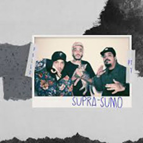 Pollo - Não Tava Nos Planos