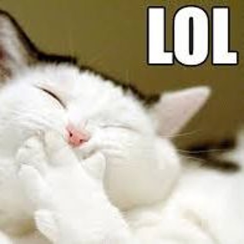 61dac1ed - 3ae6 - 4523 - Bb7d - E2849d17df5b