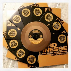 Stream Slice Of Spice | Listen to Lord Finesse (The Underboss