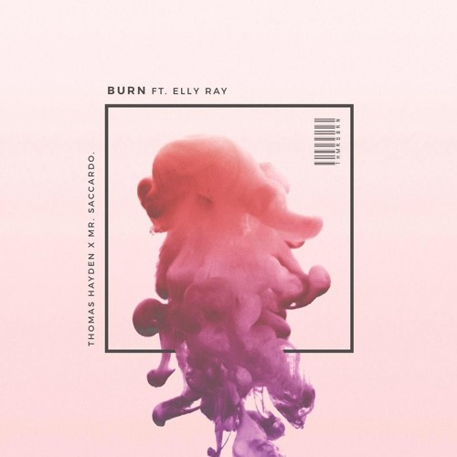 Thomas Hayden & Mr. Saccardo - Burn (Austin Pettit Remix) [Archive]
