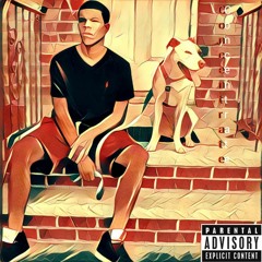 Leon Grey ft. Stefan Jasper x Moon - Concentrate