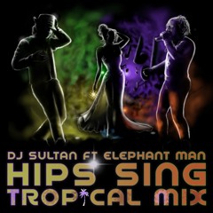 DJ SULTAN ft. ELEPHANT MAN - HIPS SING TROPICAL MIX