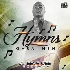 07.MUNYARADZI AUYA- STEEVE DEE TENDERE HYMNS
