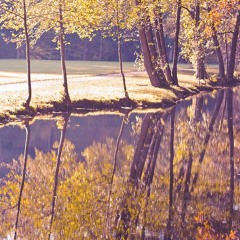 relax & ambience