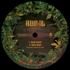 Clip Promo 12"