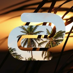 Palm Trees