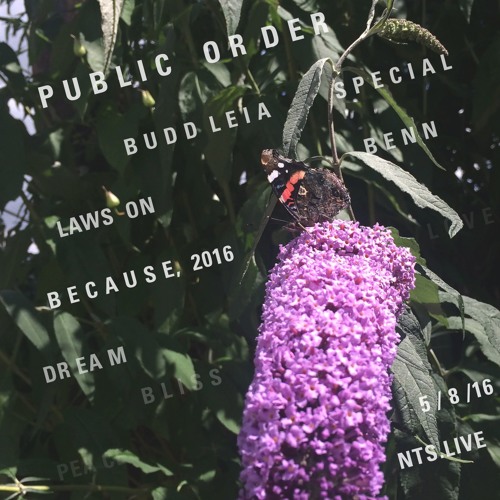 Public Order on NTS Radio w/ Lawson Benn - August 2016 [Buddleia Special]