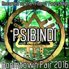 Psibindi Live & DJ Set (Aphid Records) - Recorded live on the Tribe of Frog stage at Boomtown 2016