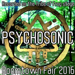 Psychosonic - Recorded on the Tribe of Frog stage at Boomtown 2016
