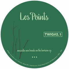 B1 LES POINTS - cocoonsven [TWIG 2.1]