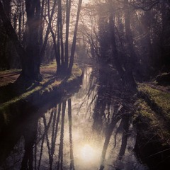 Crumbs For Comfort - Witches (I've Made Mistakes)