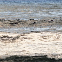 El Dragon Criollo - El Sol y la Luna