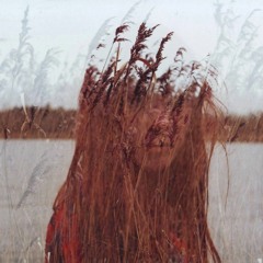 dicle/ kavaklar-sezen aksu (cover)