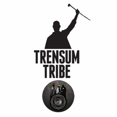Trensum - Diversity (bademah Horns Cut/Flute Dub/Riddim mix)