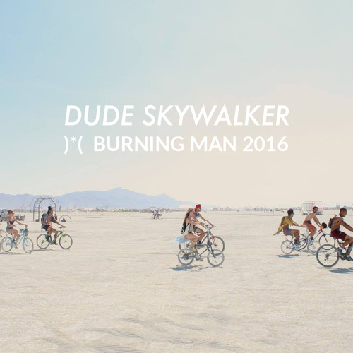 Dude Skywalker - Playa Vibes Mix 2016