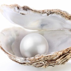 Pearl (Plight Of The Oyster)