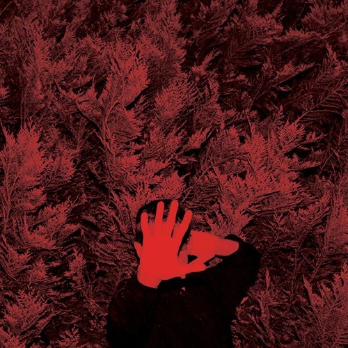 Cory Hanson- "Ordinary People"