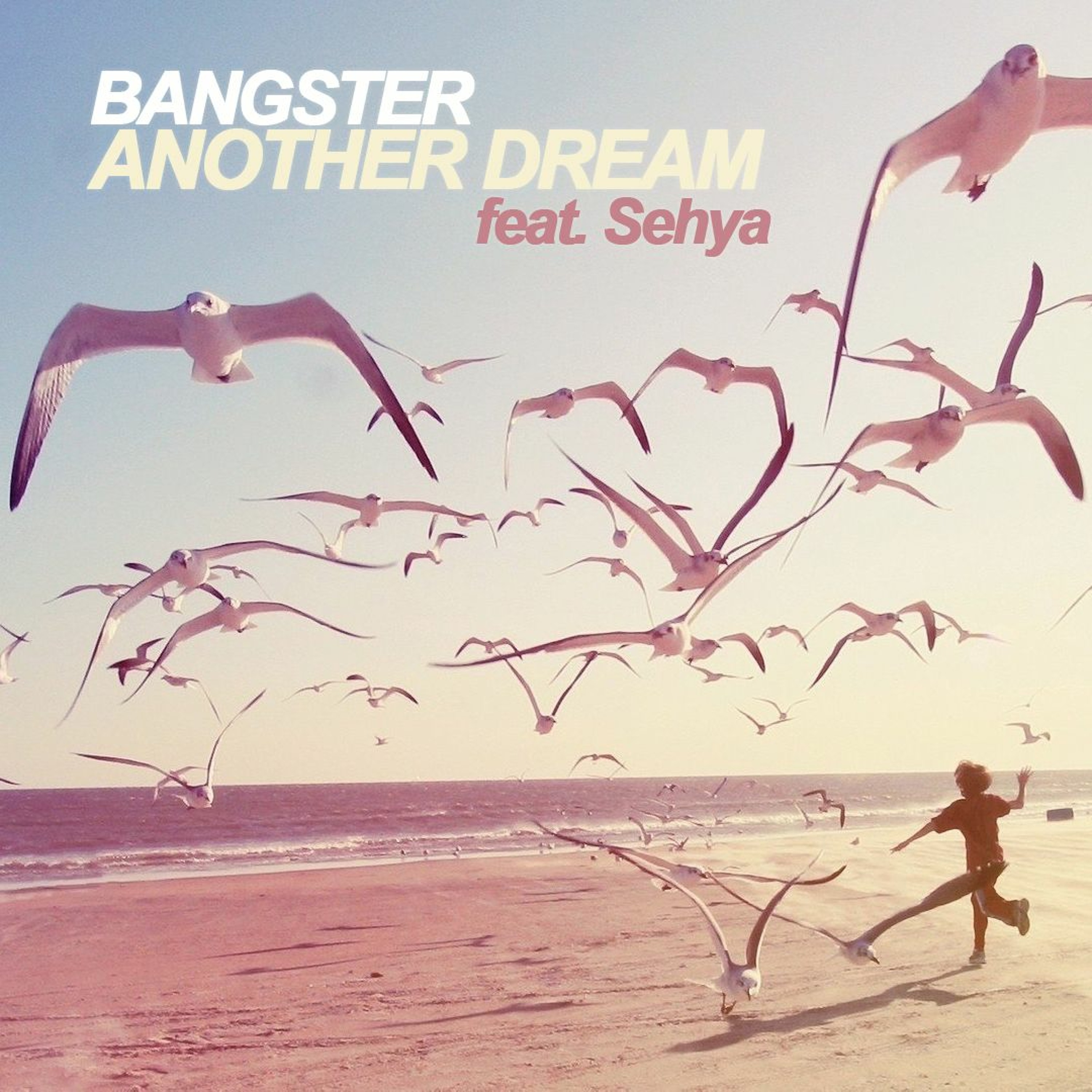 Bangster - Another Dream feat. Sehya (Radio Mix) episode artwork