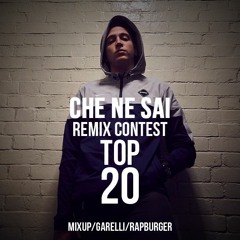 TOP 20 Che Ne Sai RMX Contest
