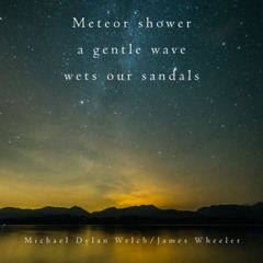HAIKU #137: meteor shower / a gentle wave / wets our sandals