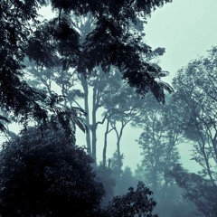 Malaysian Thunder