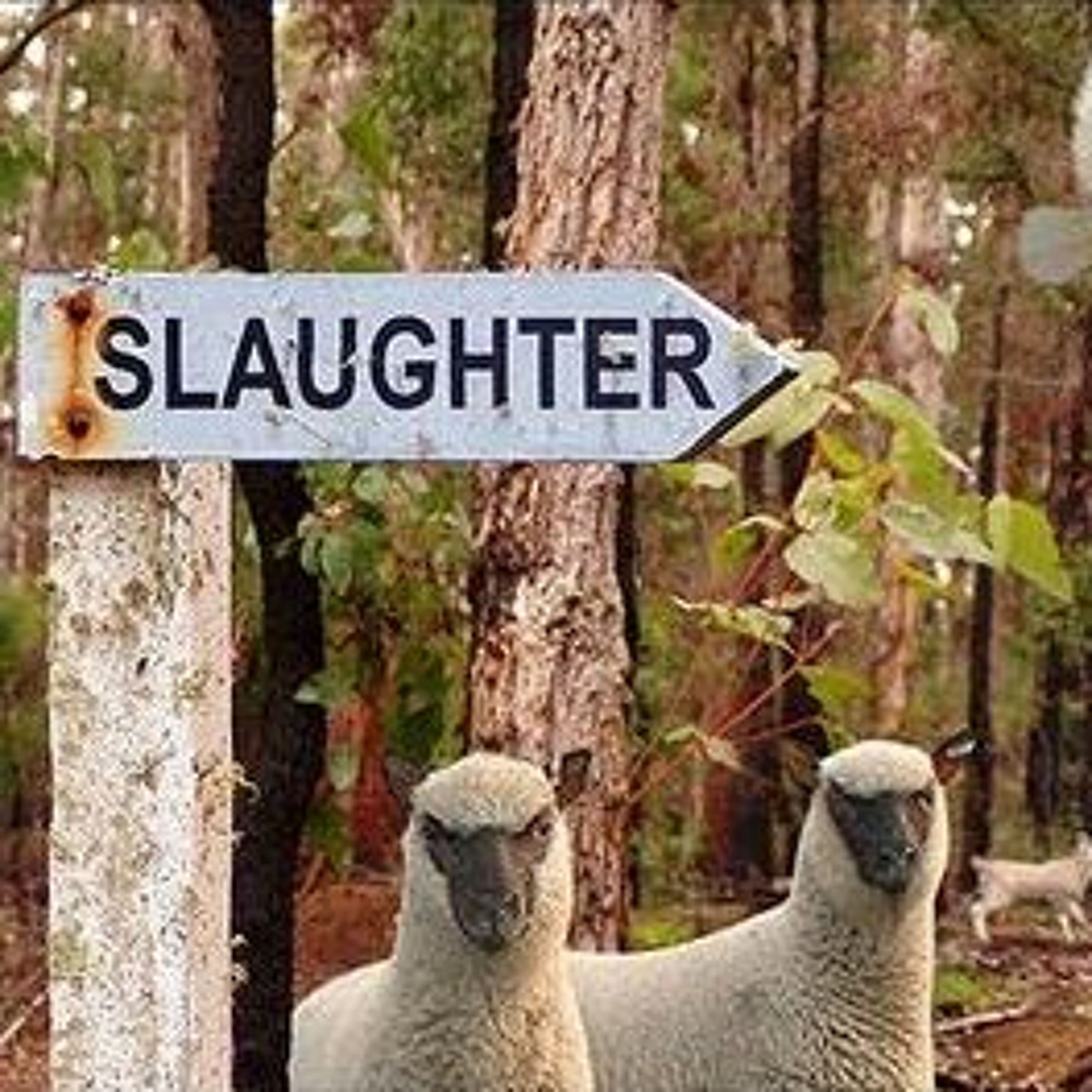 Lambs To The Slaughter episode artwork