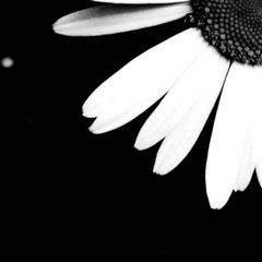 ~I joined the human race and came in last~