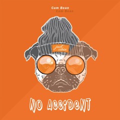No Accident