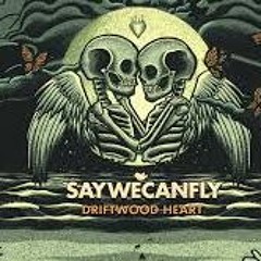 My Cover Of Driftwood Heart By SayWeCanFly