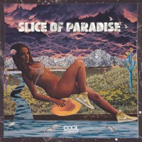 Cool Company - Slice Of Paradise