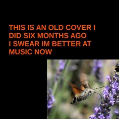 Bee of the Bird of the Moth (TMBG Cover)