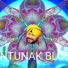 MoonTunak Blossom