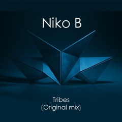 Niko B - Tribes (Original mix) - Unreleased