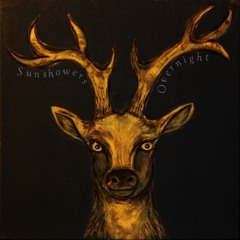 The Vacuum Movement (Studio)