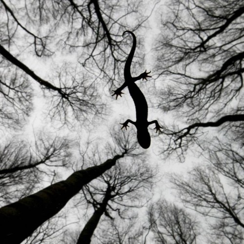 Enchanted Ways Of Longing (Mixset By KempStarr)