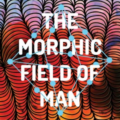 The Field of Matter
