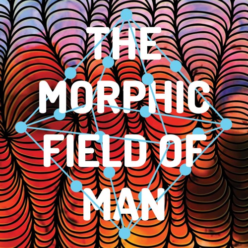 The Field of Matter