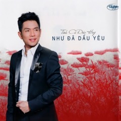 Cơn Mưa Phùn ( St : Đức Huy - Ca sĩ : Trần Thái Hòa )